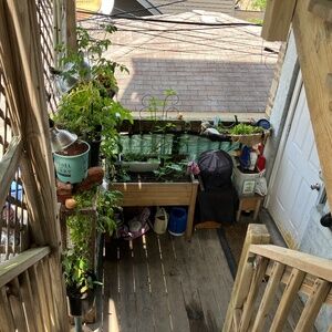 Meet your Posher, Amy Alexis